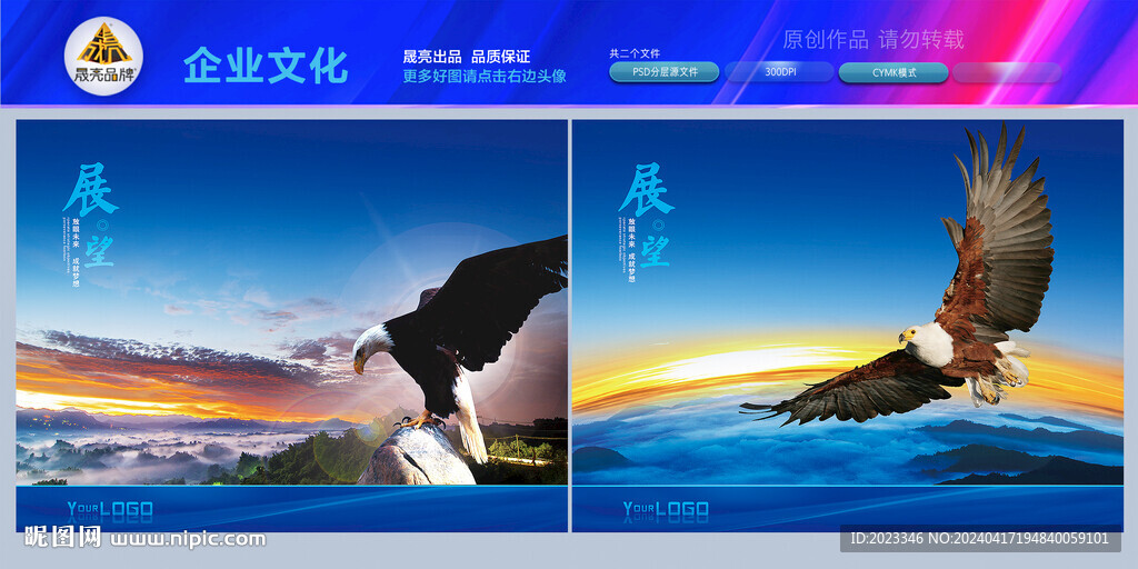 鷹 展翅高飛