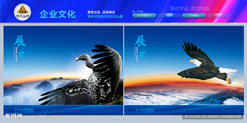 KV科技鷹飛躍