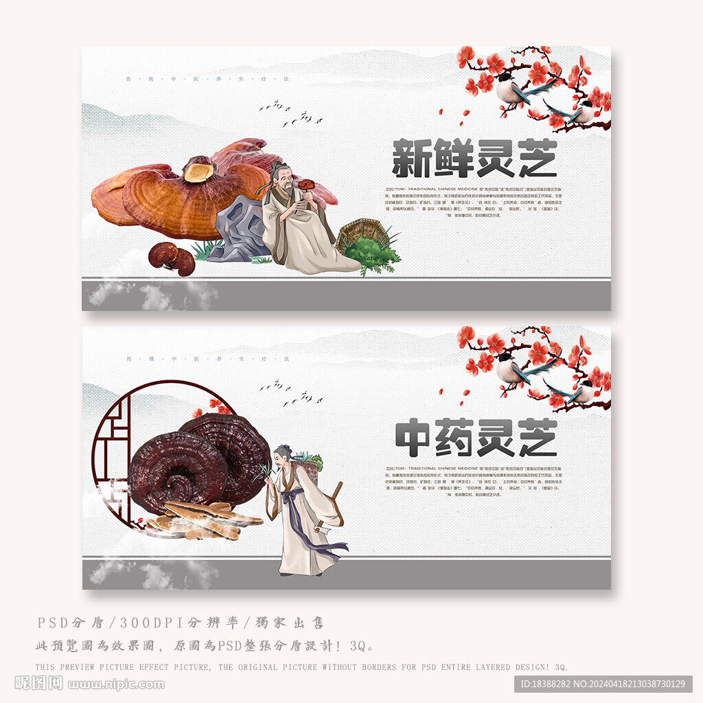 靈芝
