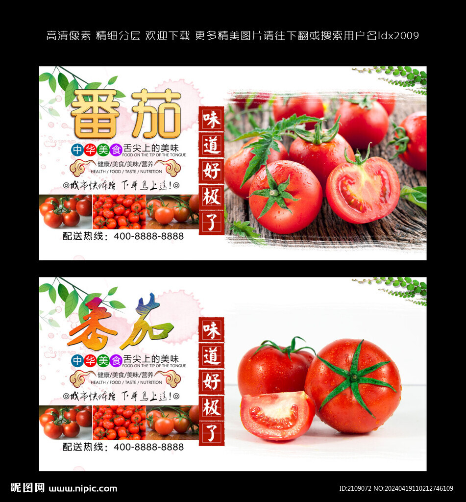 番茄  