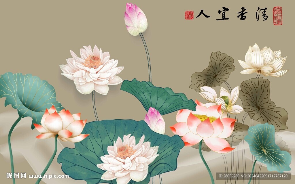 荷花背景