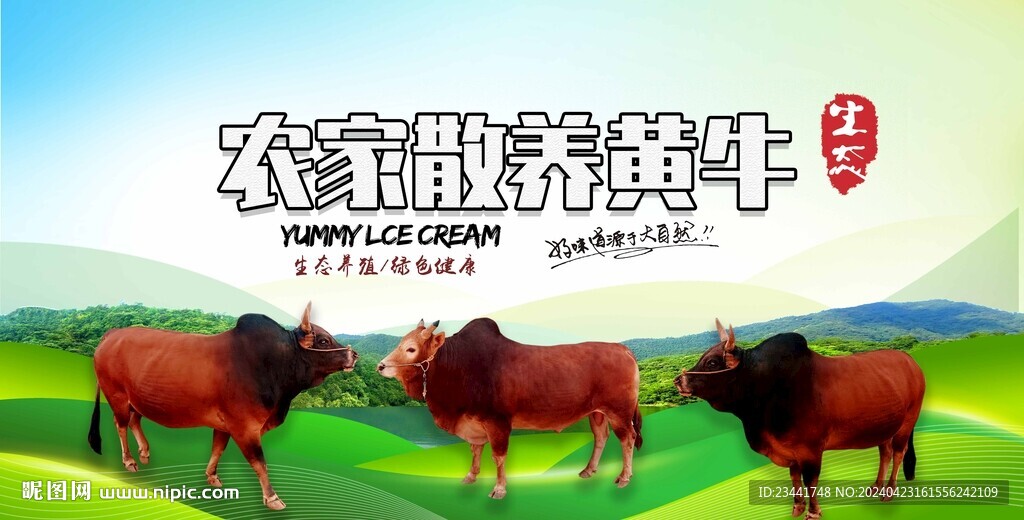 農家黃牛