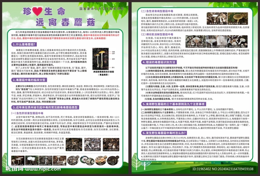 珍愛生命遠離毒蘑菇