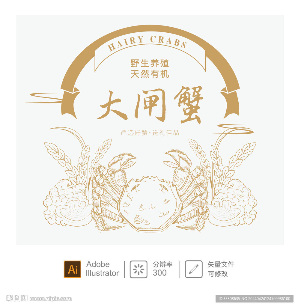 大閘蟹插畫