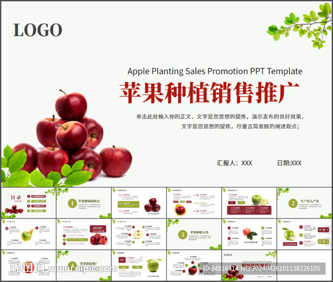 蘋果種植銷售推廣PPT模板