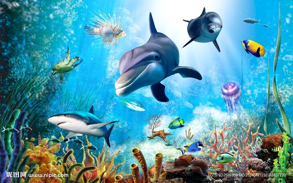 海豚