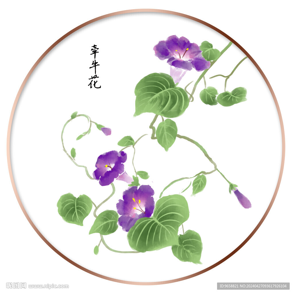 牽牛花