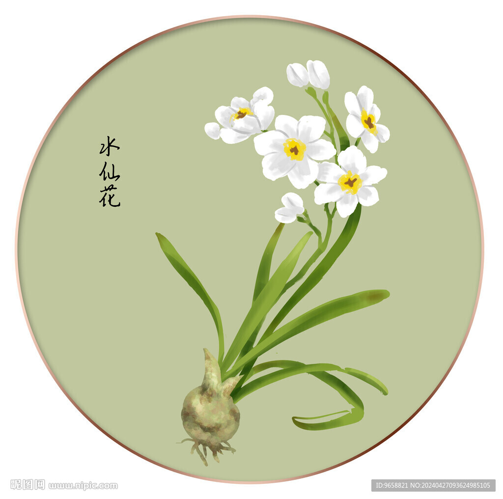 水仙