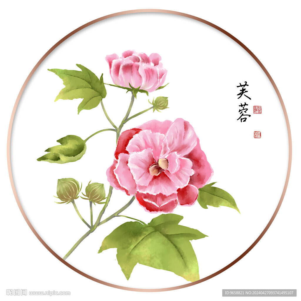 芙蓉