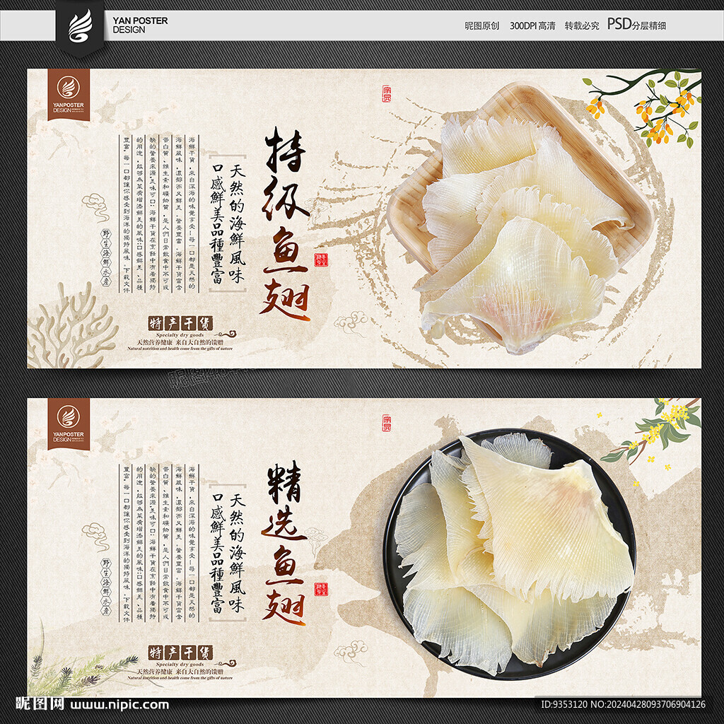 魚(yú)翅