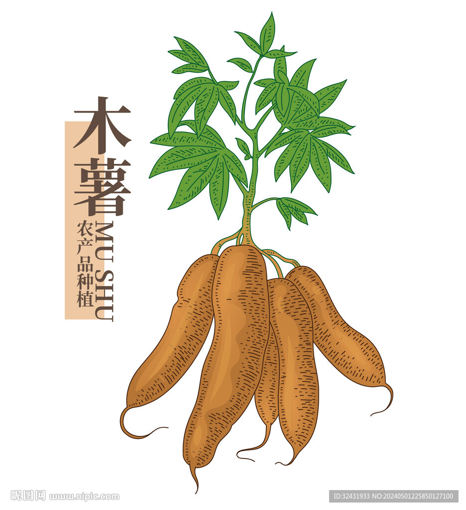 木薯粉產品包裝設計