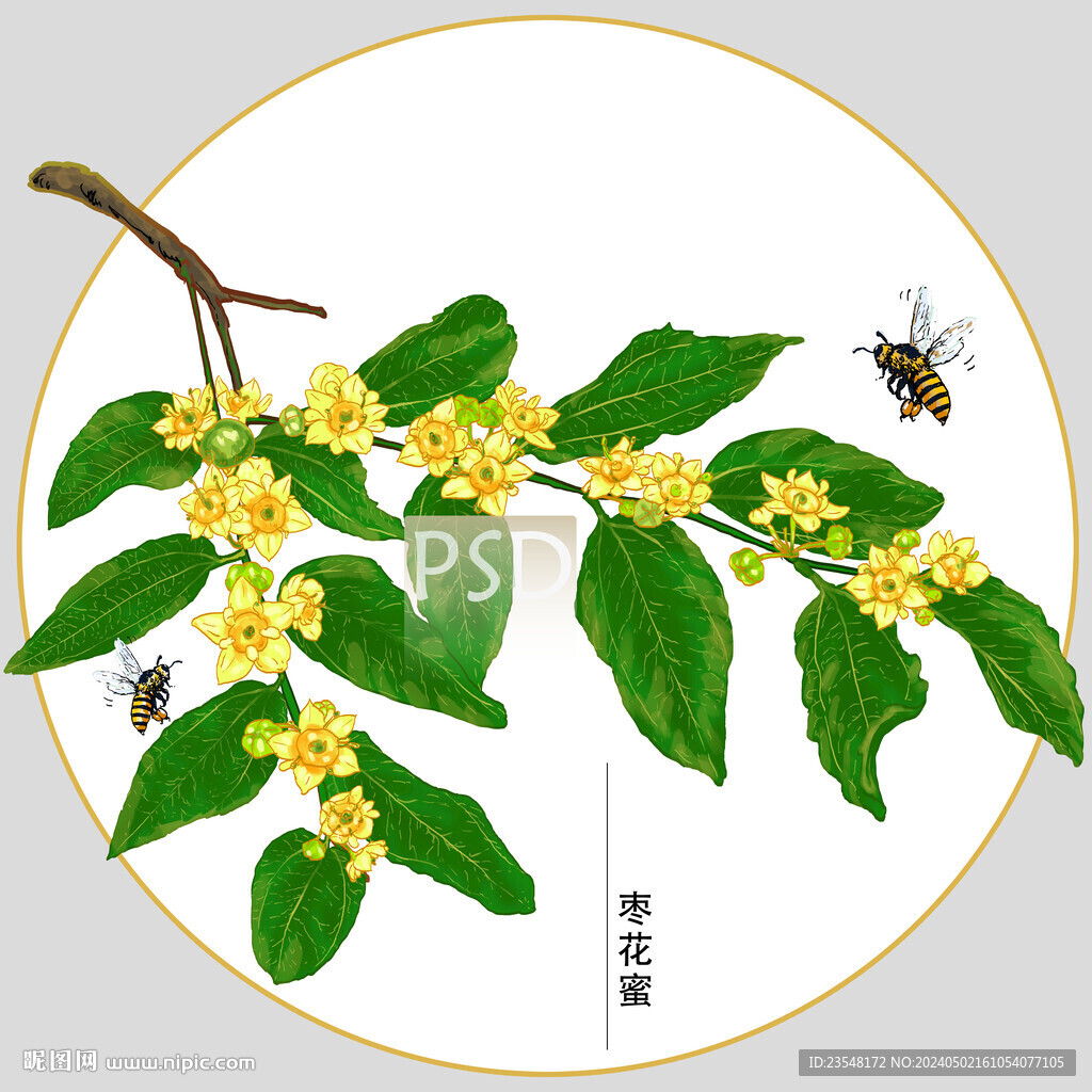 棗花蜜包裝插畫(huà)