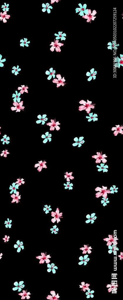 彩色芙蓉花