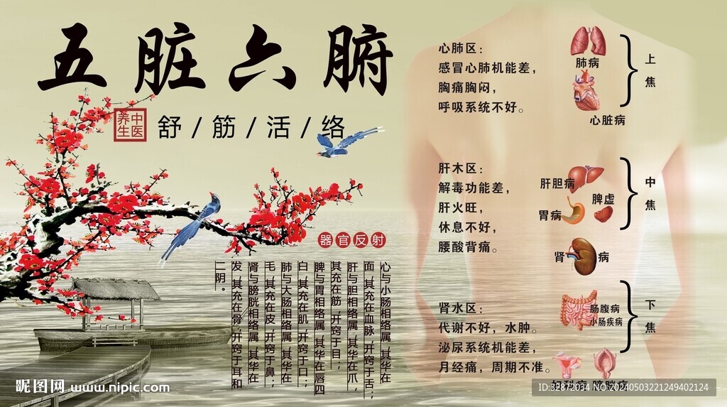 五臟六腑背景墻