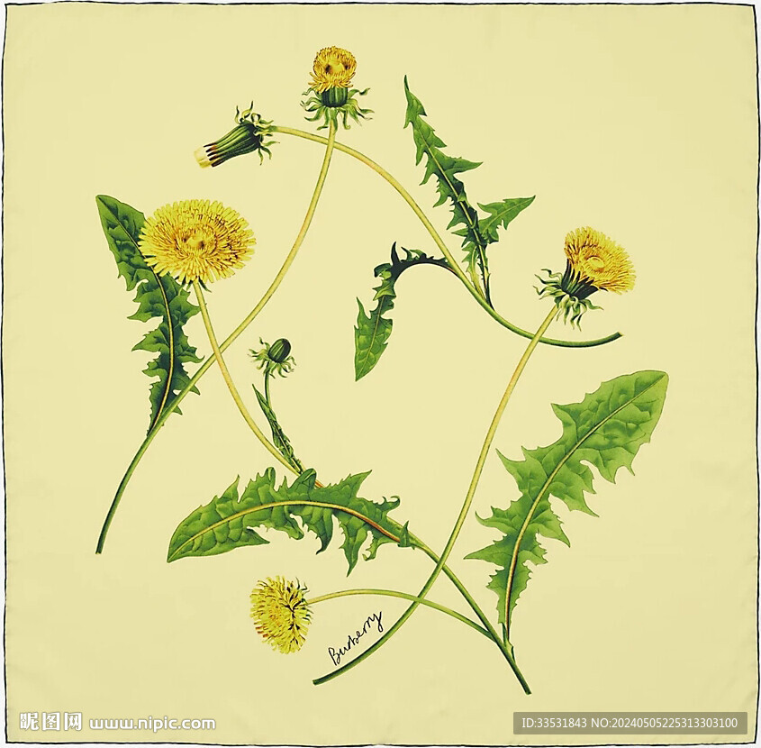 菊花印花