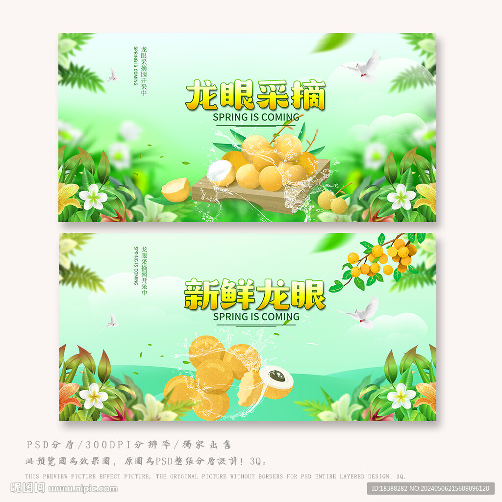 龍眼