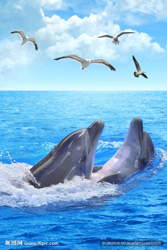 海豚