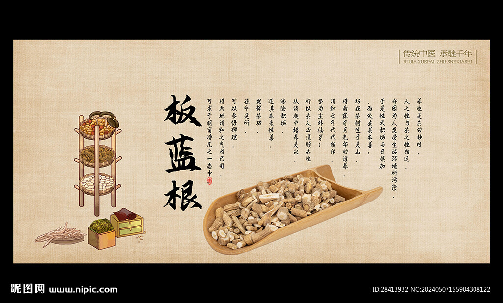 板藍根