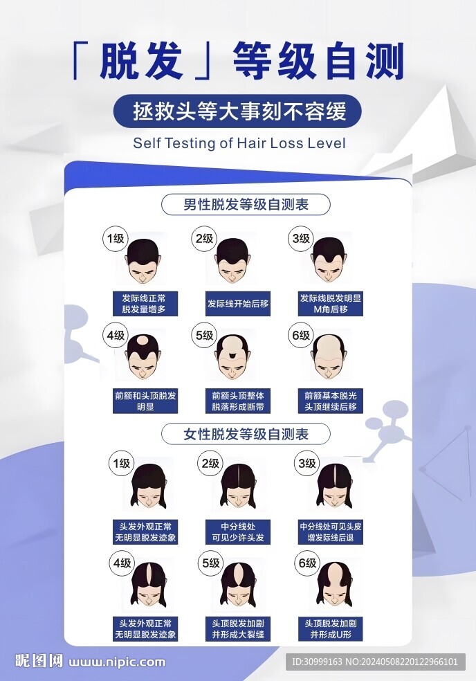 脫發等級