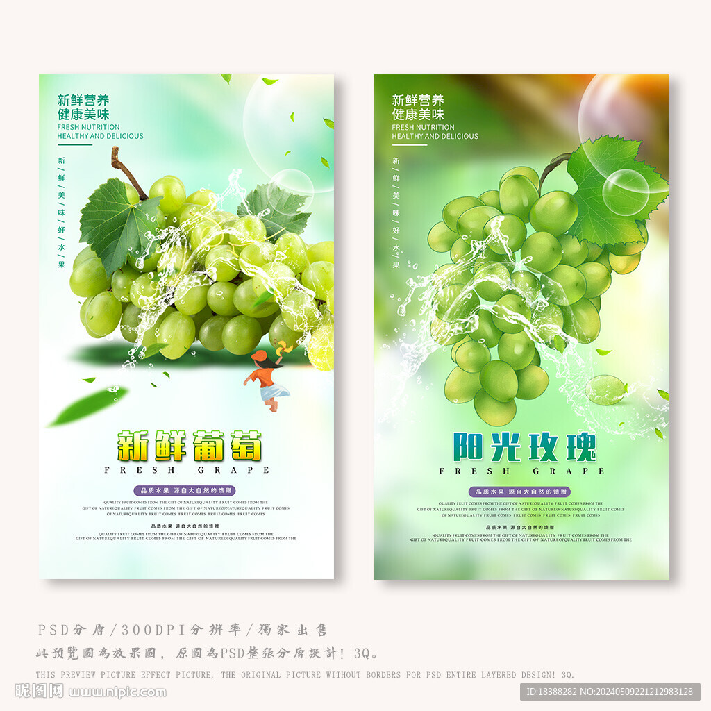 陽(yáng)光玫瑰