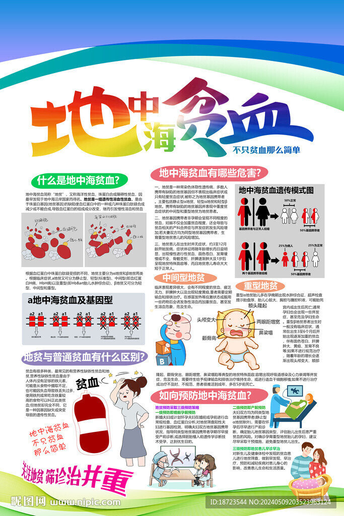 地中海貧血
