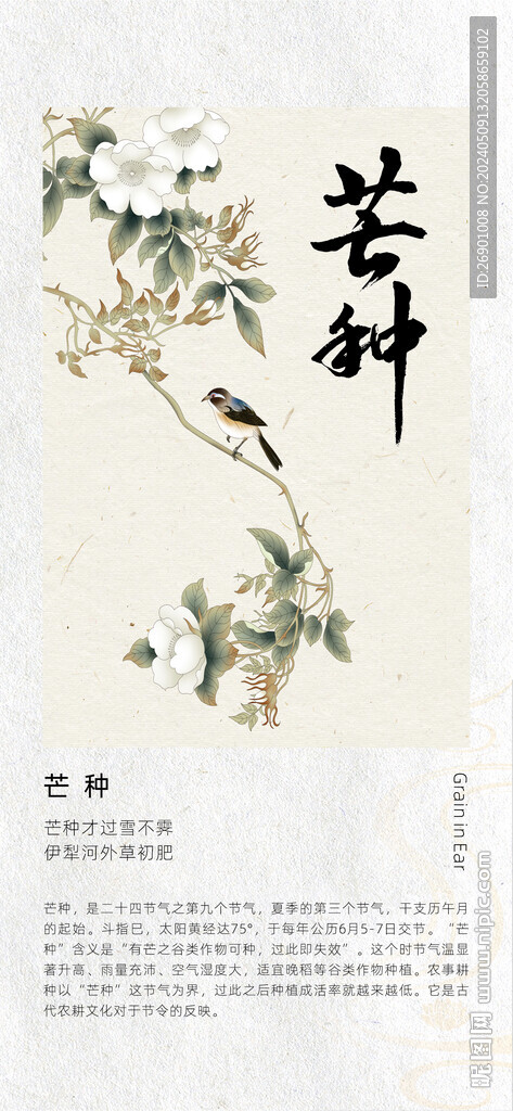芒種