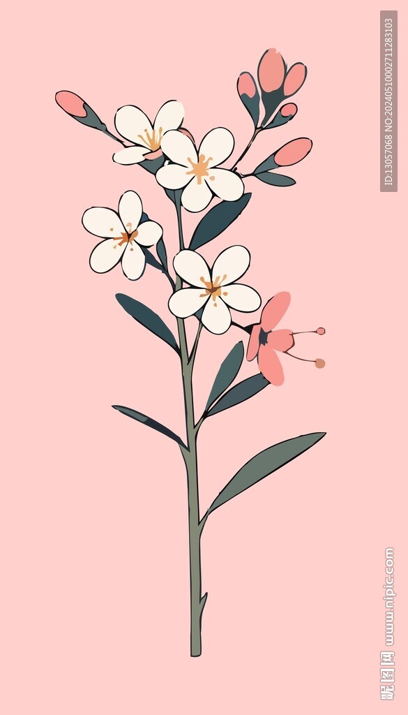 花朵