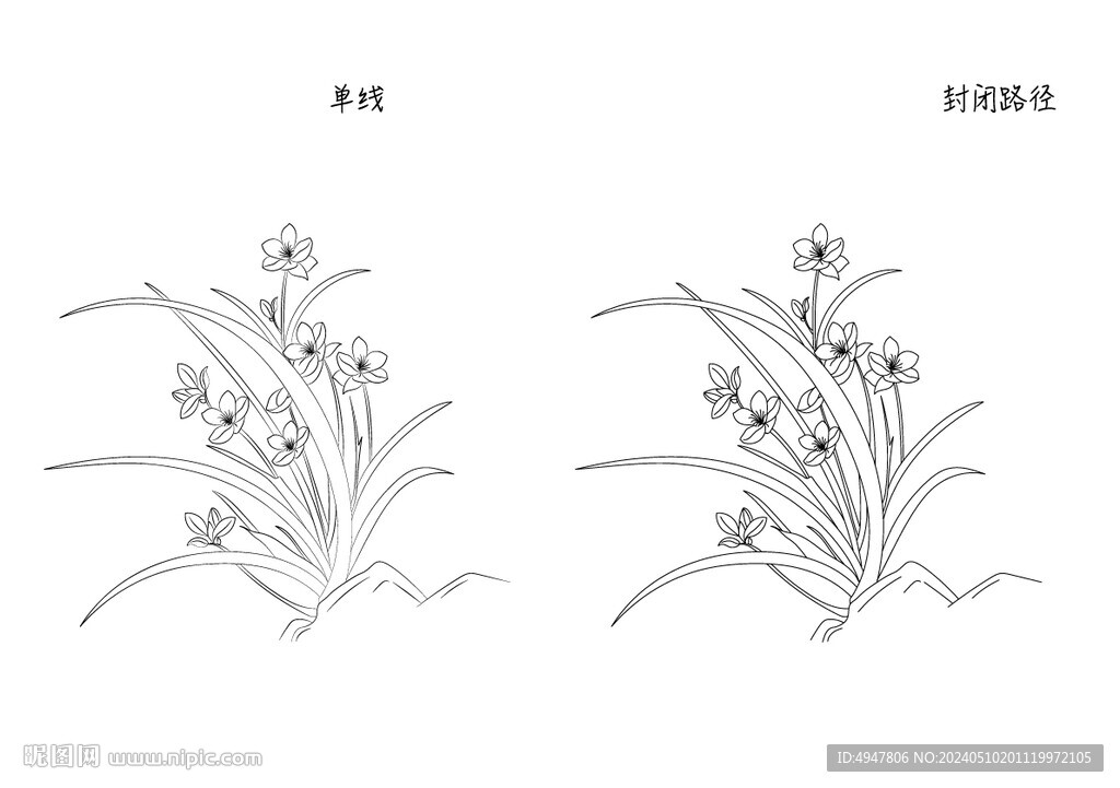 蘭花 矢量圖