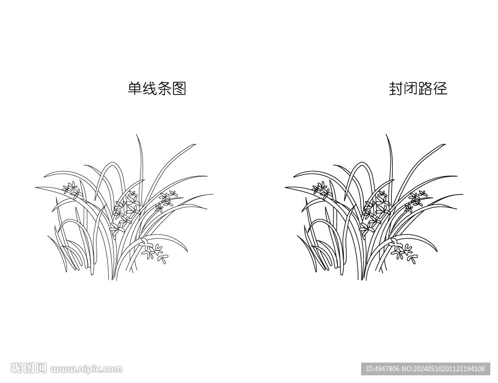 蘭花 矢量圖