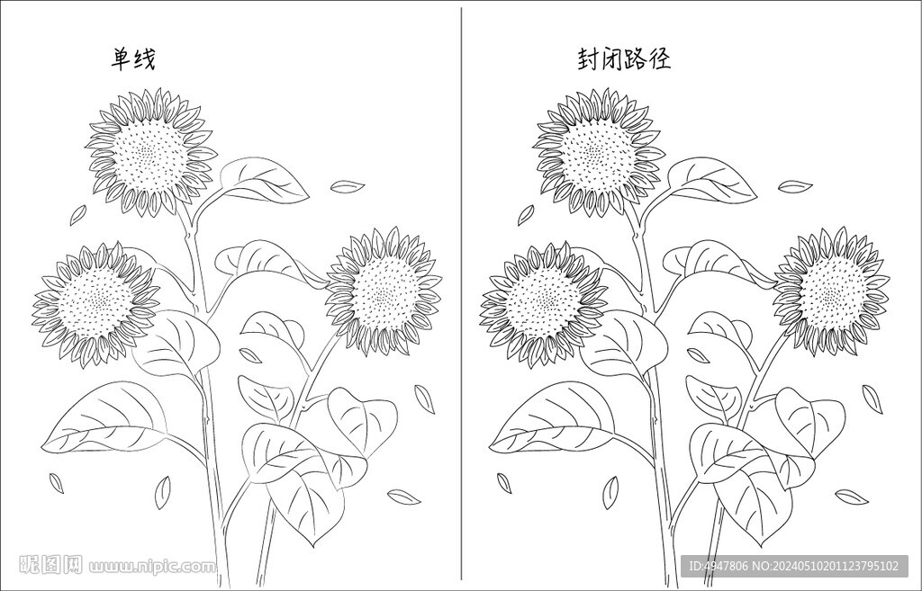 向日葵 矢量圖