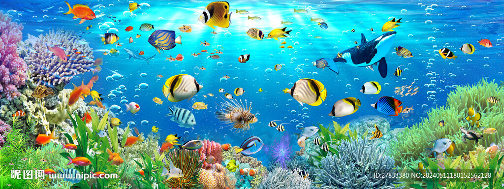 魚群