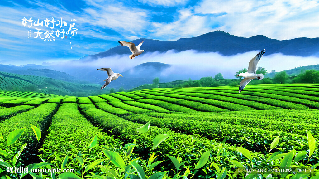 茶園