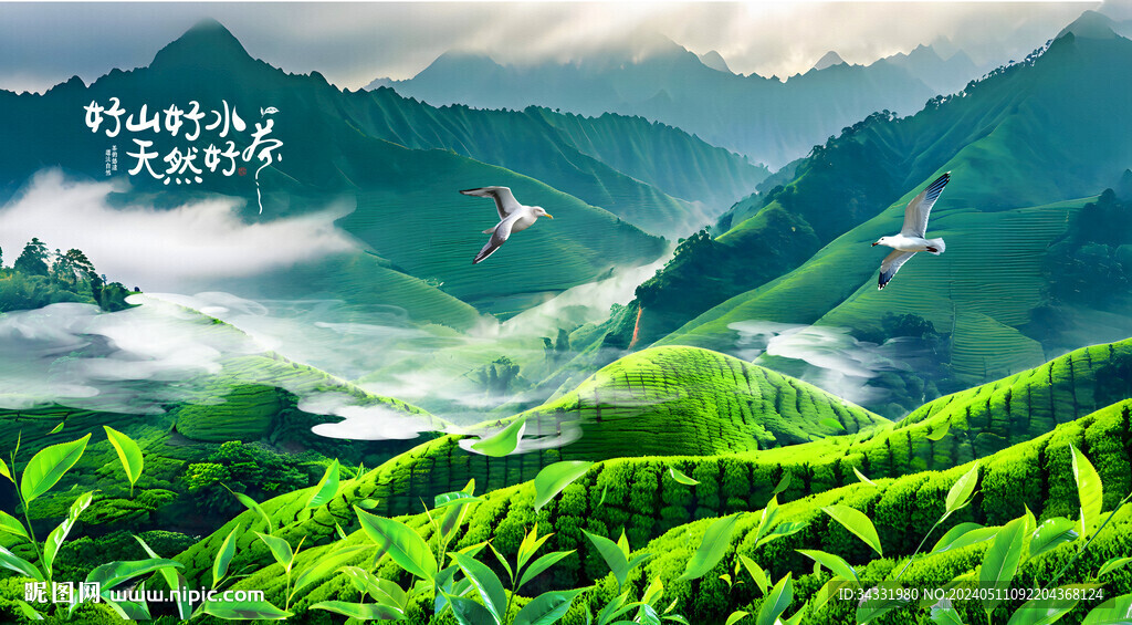 茶山