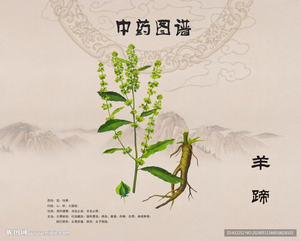 羊蹄