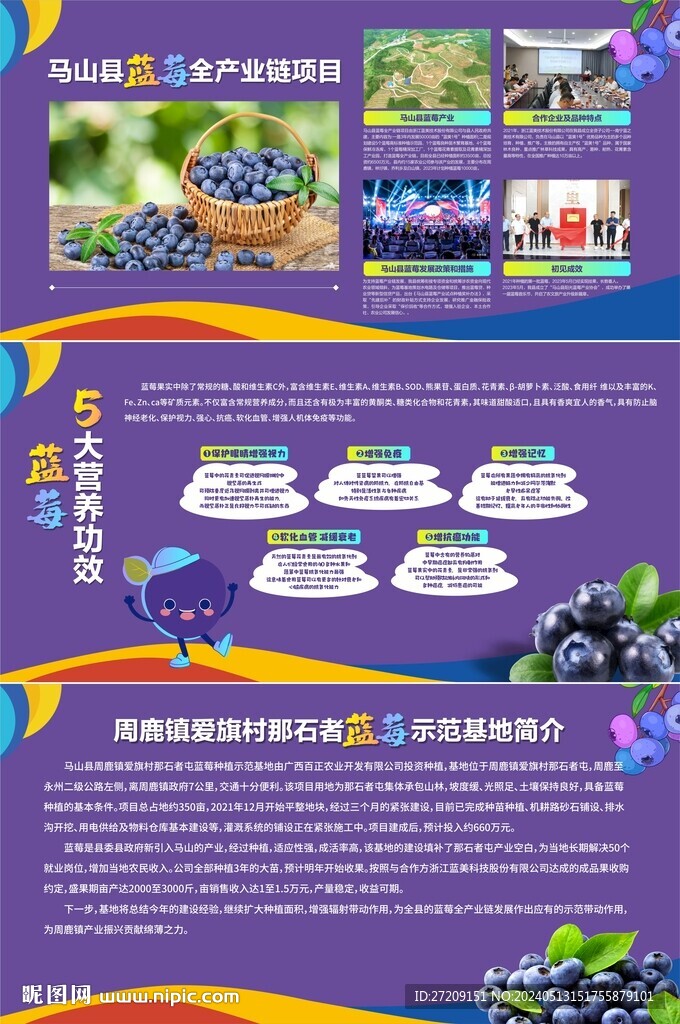 地產藍莓功效簡潔展板