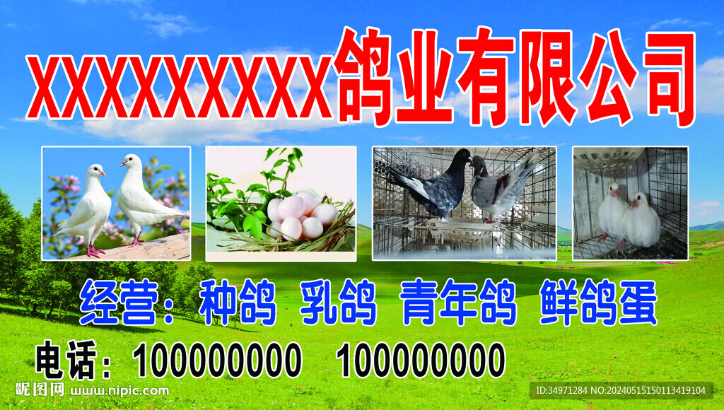 養(yǎng)殖鴿子