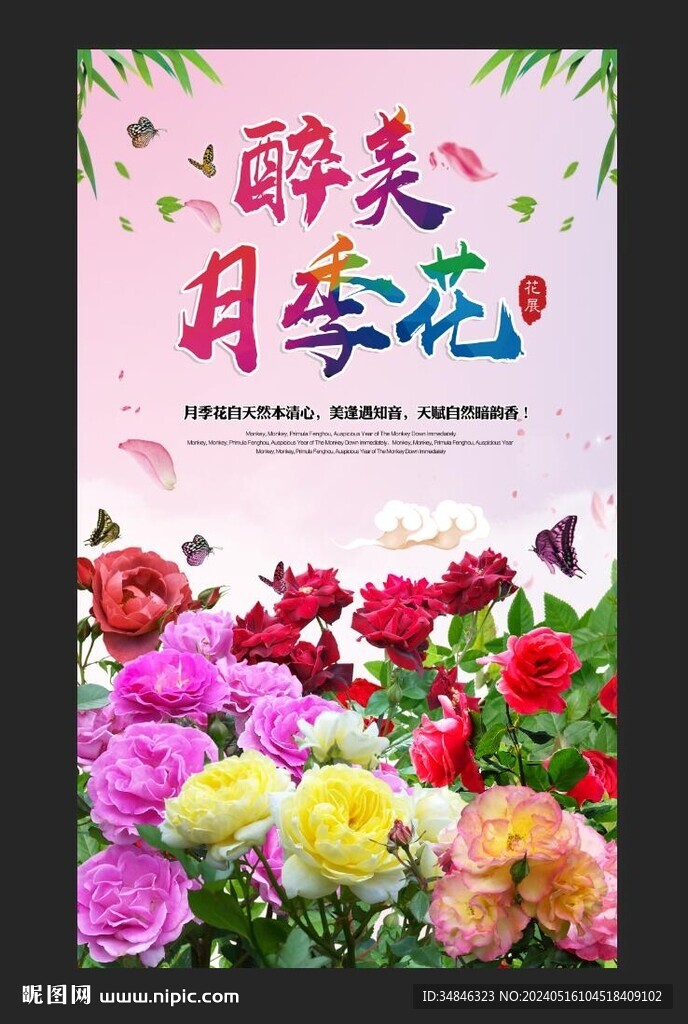 月季花海報圖片