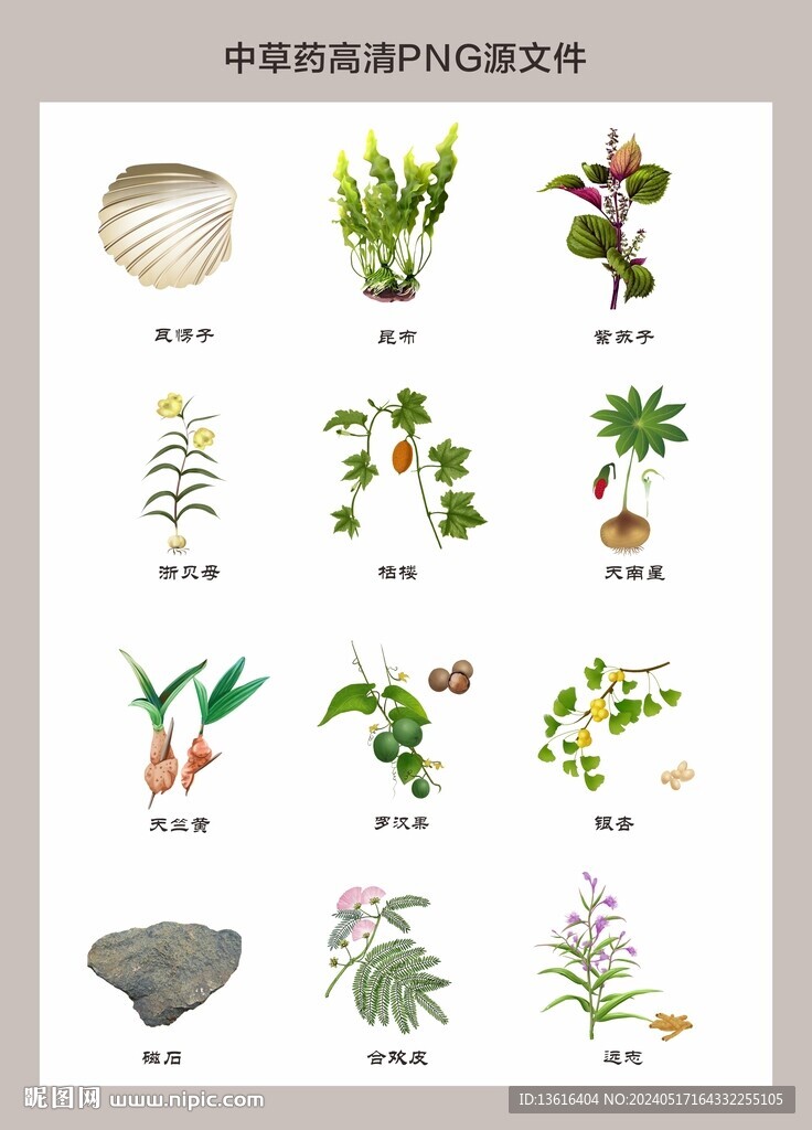 中藥材高清png圖片