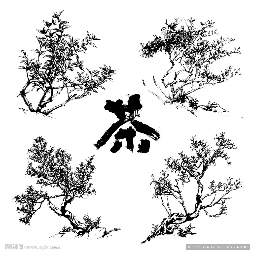 茶樹(shù)手繪版畫(huà)插畫(huà)
