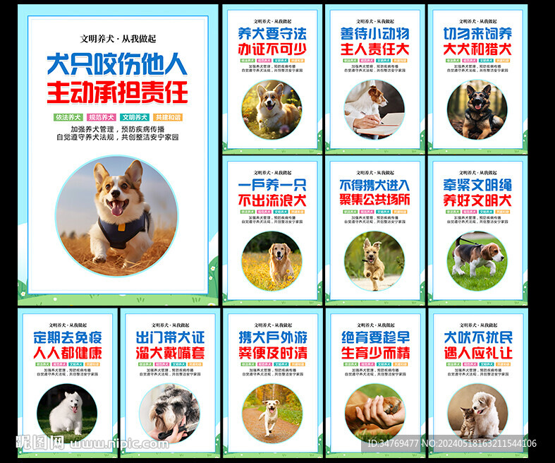 文明養(yǎng)犬圖片