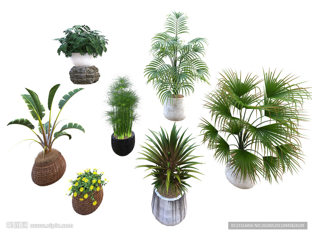 綠植盆栽組合