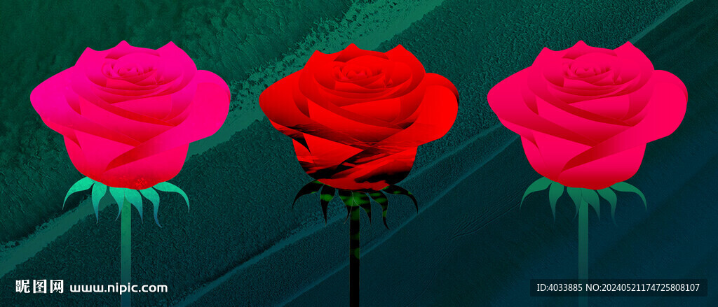 玫瑰花