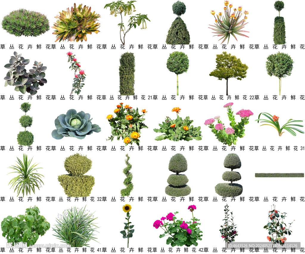 高清樹木花卉綠植免摳貼圖素材 