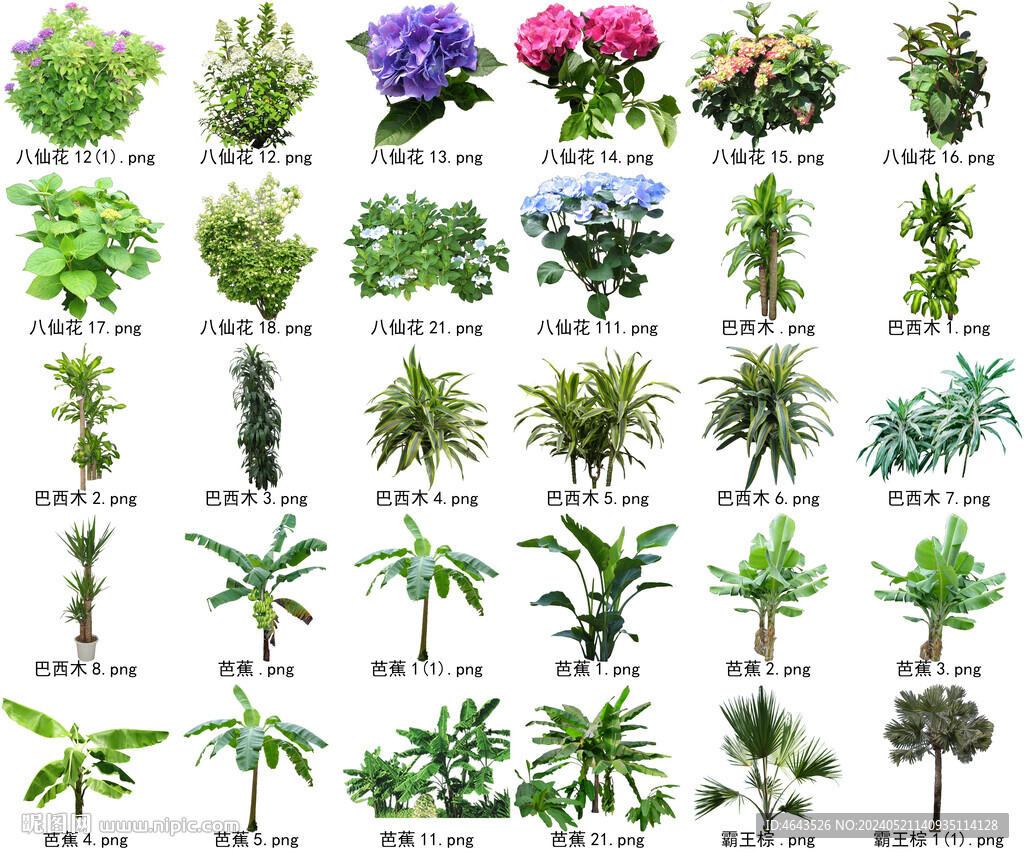 高清樹木花卉綠植免摳貼圖素材 