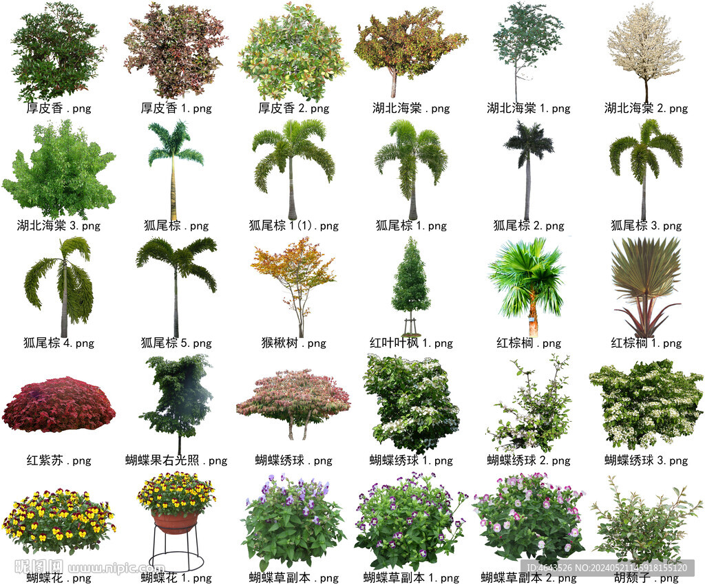 高清樹木花卉綠植免摳貼圖素材 