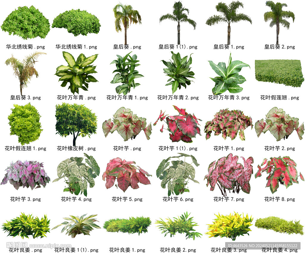 高清樹木花卉綠植免摳貼圖素材 