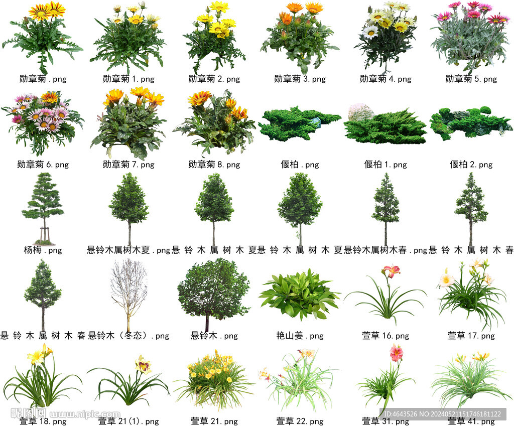 高清樹木花卉綠植免摳貼圖素材 