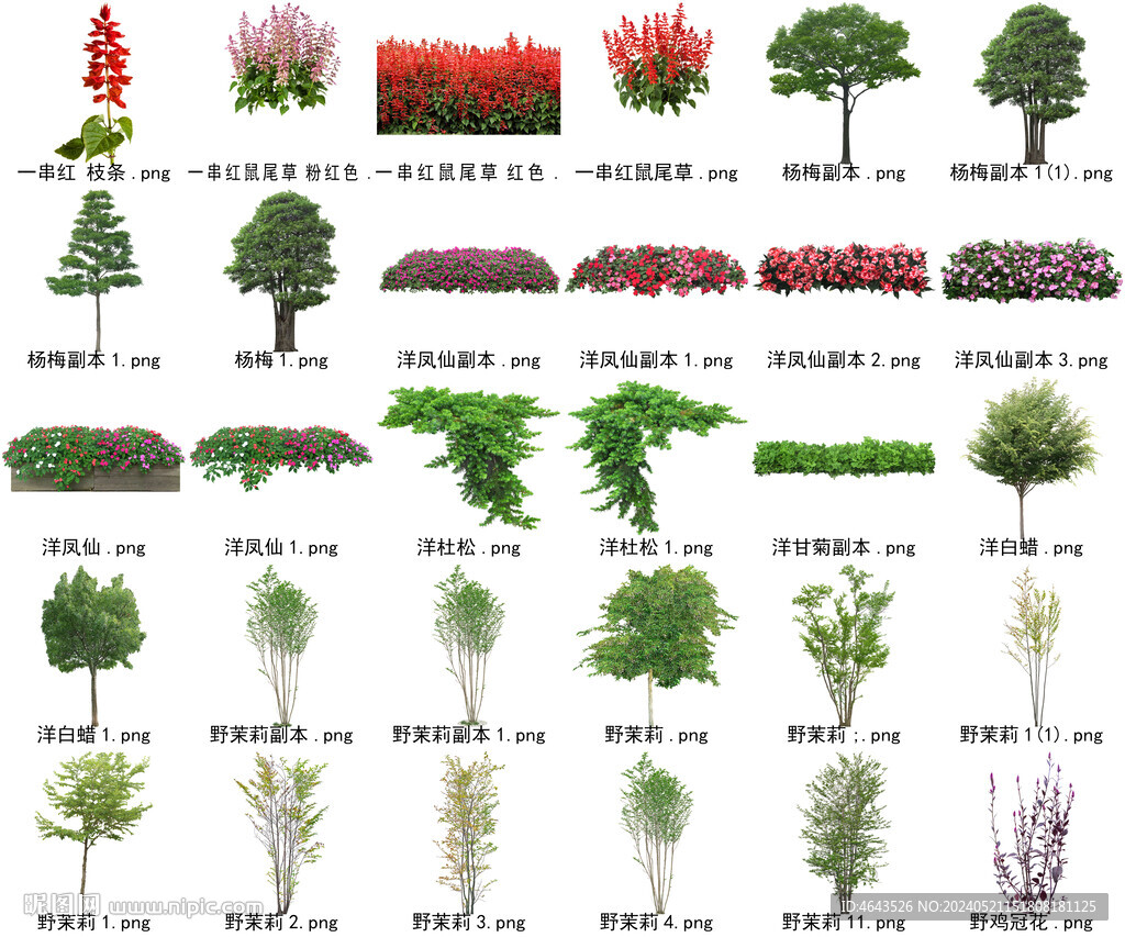 高清樹木花卉綠植免摳貼圖素材 
