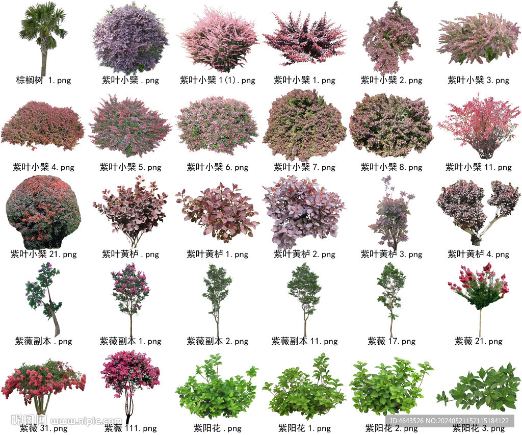 高清樹木花卉綠植免摳貼圖素材 