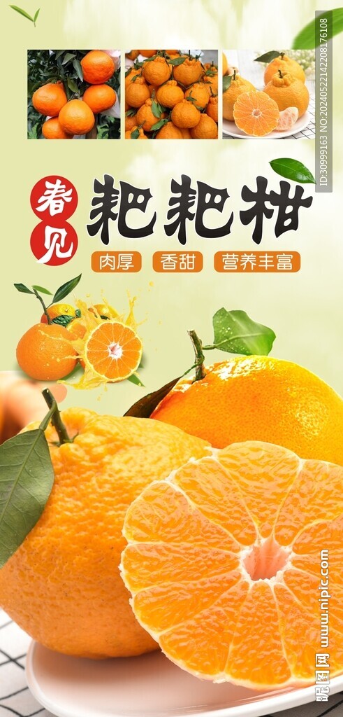 粑粑柑